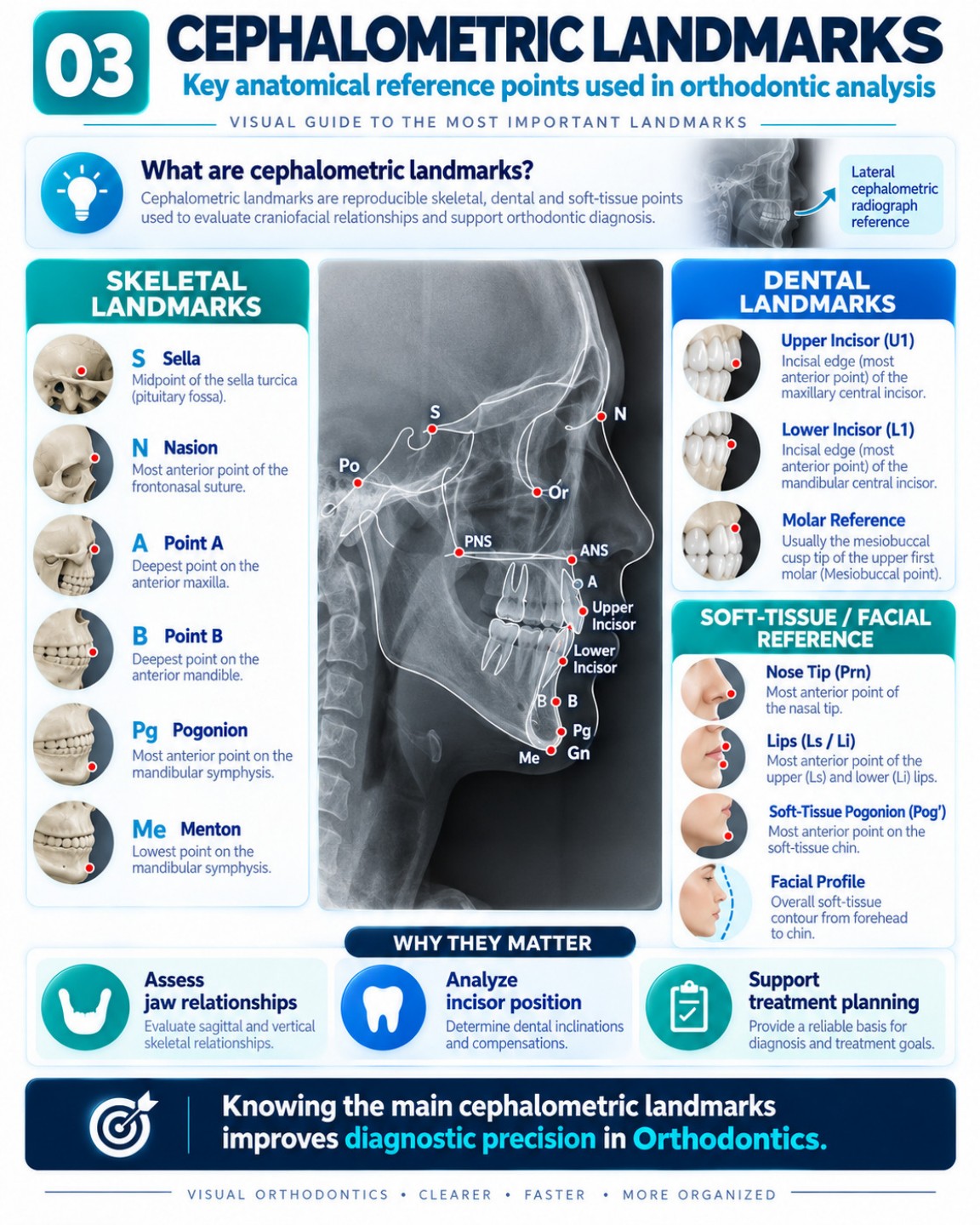 Cephalometric Landmarks