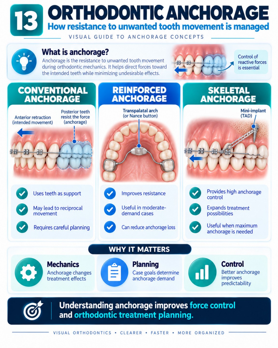 Orthodontic Anchorage